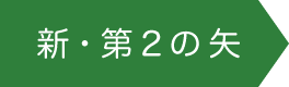 新・第2の矢